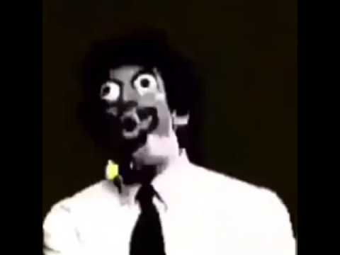 Tally Hall is back - YouTube
