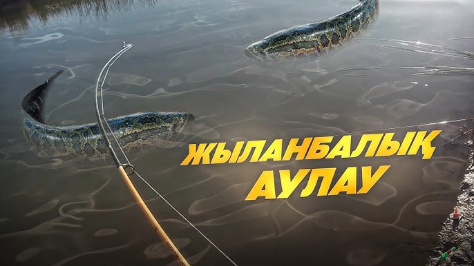 Жыныс мүшесін жыныс еріндерімен уқалаңыз Пизда ағып жатқан видео порно секс