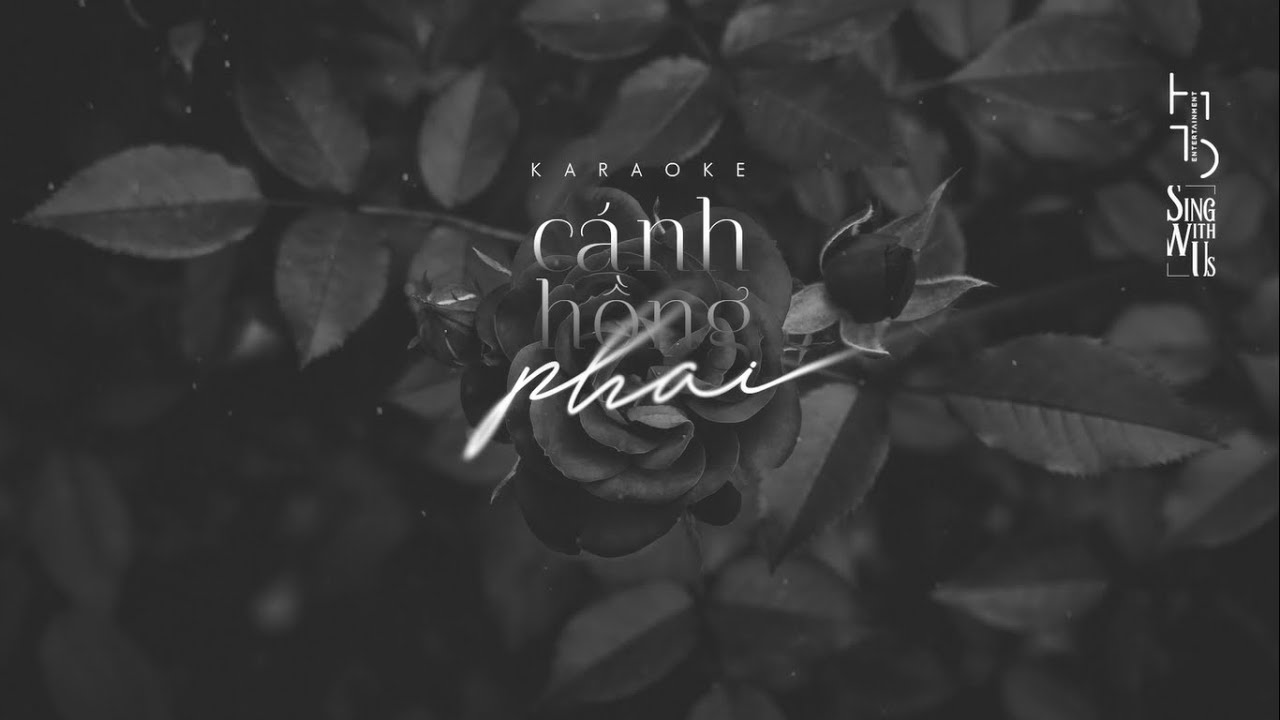 Karaoke | Cánh Hồng Phai | Acoustic Beat | Tone Nam (Am)