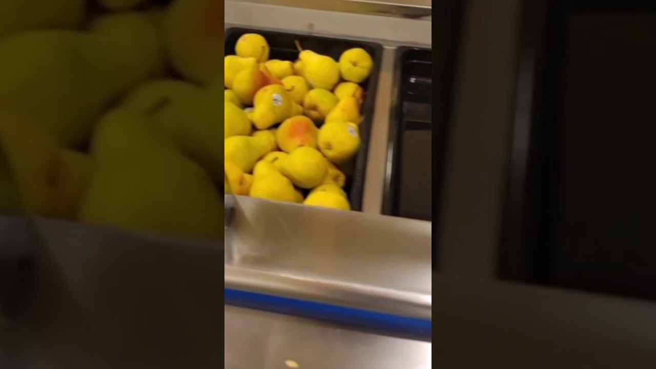 Life as a lunch lady. Dounts for breakfast! 