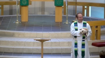 Plotinus (Tiny) the Pig - Eleventh Sunday after Pentecost 2023