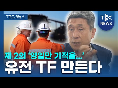 포항시 영일만 유전 TF 만든다ㅣTBC뉴스