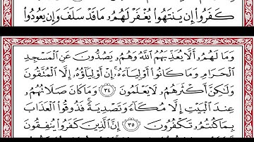 Okasha Kameny ماتيسر من سورة الانفال  برواية البزي عن ابن كثير المكي .. الشيخ عكاشة كميني حفظه الله