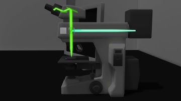 Animation of a Fluorescence microsocpe