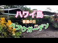 【ordinaly day】Bigisland hawaii ハワイ島！ハワイアンキルト Vlog 動画ブログ 2019年8月 血液検査 日常