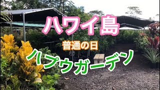 【ordinaly day】Bigisland hawaii ハワイ島！ハワイアンキルト Vlog 動画ブログ 2019年8月 血液検査 日常