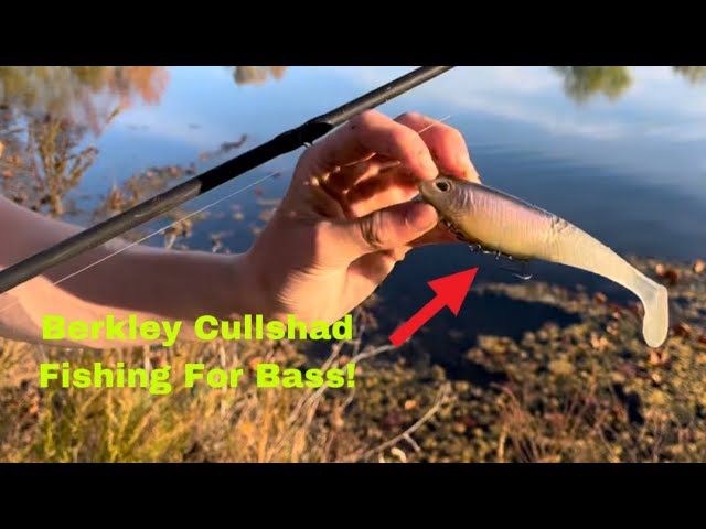 The New Berkley CULL SHAD Swimbait 