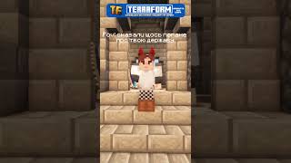 Діставайте шаблі!) Відкриття скоро.. #minecraft #politics #rolepaly #memes #rp #terraform
