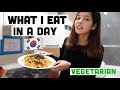 What I Eat In A Day As A Vegetarian In Korea | My ACNE Story + Korean Veg Recipe