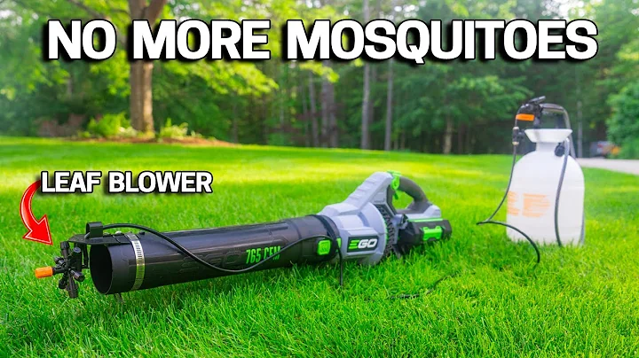 3 Ways to WIPE OUT MOSQUITOES in your YARD - Cheap & Easy! - DayDayNews