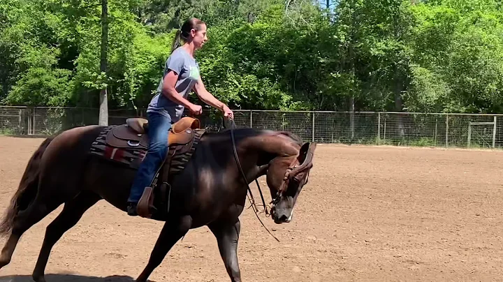 For Sale: AQHA Banjo Boytoy