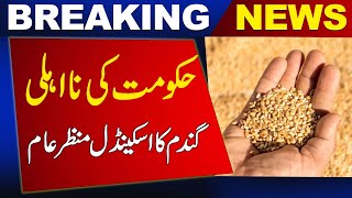 Wheat scandel in Pakistan | Breaking News | Newsone