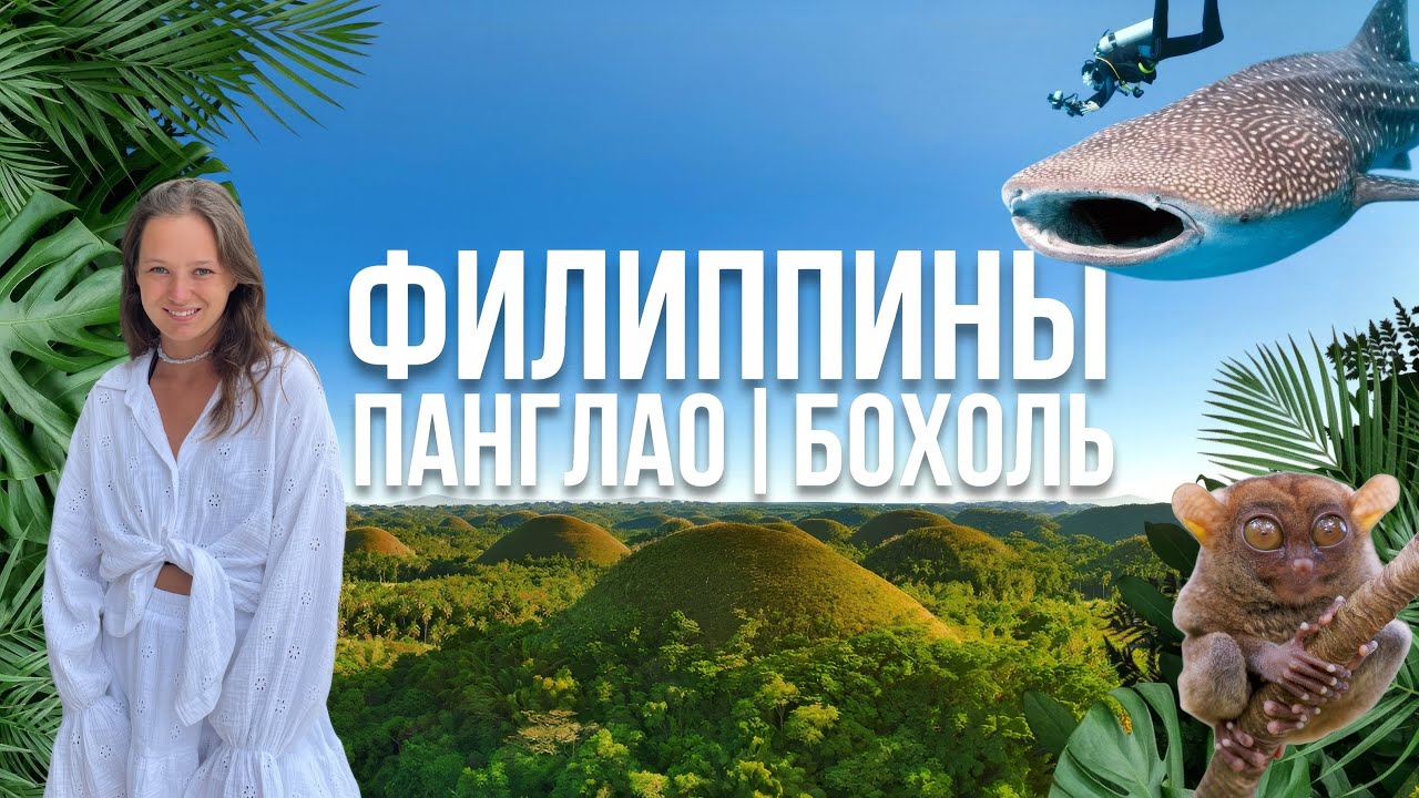 Филиппины 2025. Бохоль и Панглао. Оно вам надо? Китовые акулы, долгопяты и шоколадные холмы.