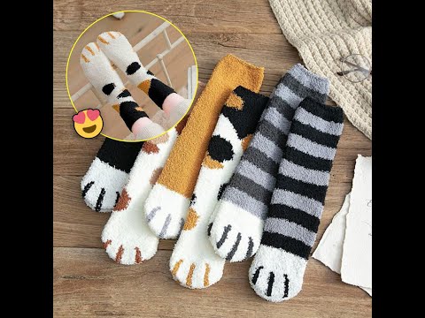 funny cute cat