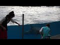 ☆京都水族館　ララフィンサーカス～第2章「たいせつ」～　4Ｋ動画