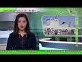 無綫00:30 新聞報道 TVB News｜2023年4月30日｜解放軍完成於蘇丹撤僑行動｜保護研究中心對近期大熊貓謠言感痛心｜海關港珠澳大橋偵破走私案拘兩人 檢獲280公斤活龍蝦等 4K