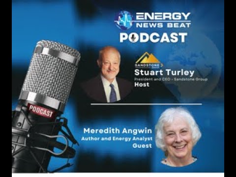 ENB #78  Meredith Angwin, Author of "Shorting The Grid" and key issues electrical grid stability.