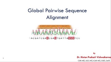 Bioinformatics : Global Pairwise Sequence Alignment