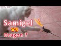 Samigel VS Dragon?