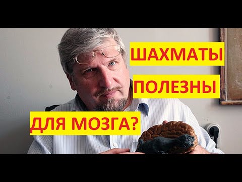 С В  Савельев о пользе шахмат для мозга