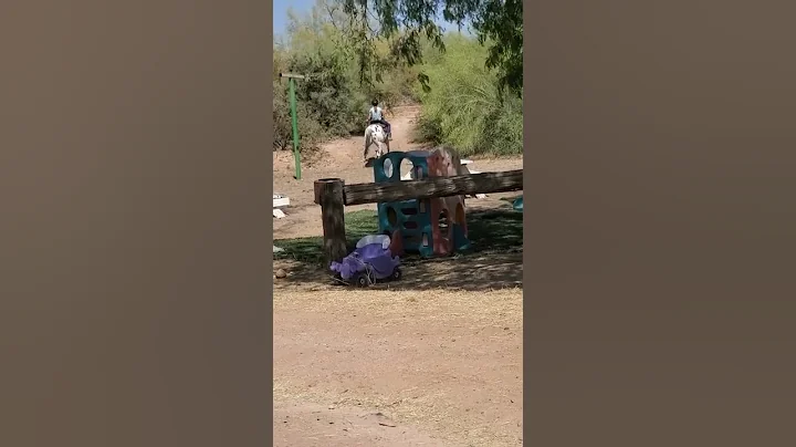 The wash