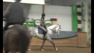 Koniesportowe Arrow1