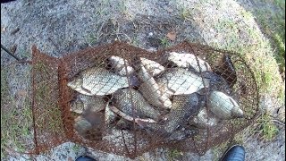 Ловля Карася в Августе. Поплавочная удочка рулит. Подарок к ДР! видео Ловля карася в августе. Как ловить и на что + ВИДЕО