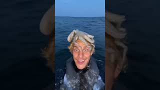 Lost at sea #shorts Information