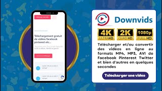 Comment télécharger vidéos en ligne et convertir en MP3, MP4 ou AVI et en 4K ou HD avec downvids.fr screenshot 1