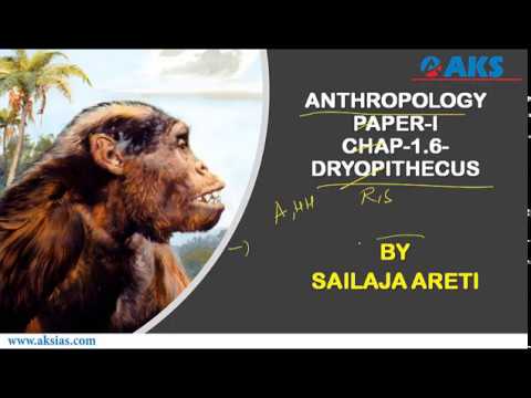 Dryopithecus|Physical Anthropology|Sailaja Niharika|AKS|IAS
