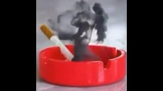 Kumpulan vidio santuy  Cocofun