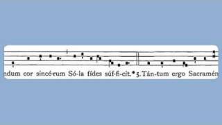 Pange Lingua (Corpus Christi) chords