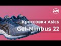 Кроссовки Asics GEL-Nimbus 22. Обзор