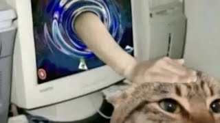Мощное исцеление и наполнение любовью💫