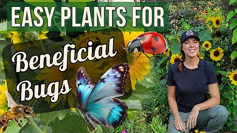Attract Good Bugs to the Garden!  The best plants for pollinators & beneficials