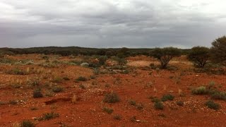 Gold, sunrise, camels, termite mounds, yabbies and a punctured tyre .!