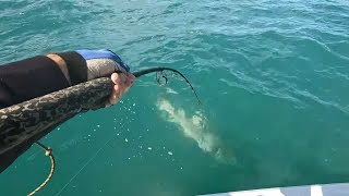 Reeling Veterans fishing Dundee beach NT. (Not clickbait either).