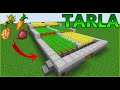 OTOMATİK TARLA NASIL YAPILIR? - Minecraft