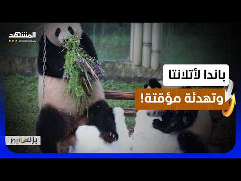 الصين وأميركا.. تمديد قصير لترحيل الأزمات الكبرى - بزنس نيوز