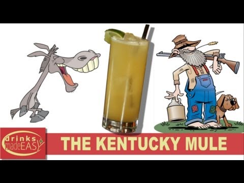 how-to-make-a-kentucky-mule-(bourbon-moscow-mule)-|-drinks-made-easy