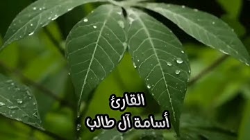 تلاوة من سورة الكهف - للقارئ: أسامة بن عبدالله آل طالب