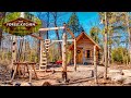 Timber Frame | The Forest Kitchen | Off Grid Log Cabin Build, Ep.1 S1