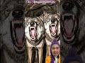 Cucu kakek diserang harimau dan serigala😱