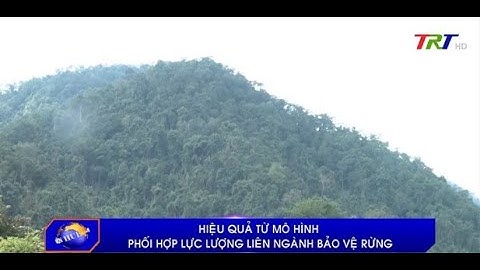 Hiệu quả từ mô hình phối hợp lực lượng liên ngành bảo vệ rừng