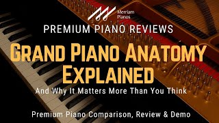 🎹 What Makes a Truly Great Instrument? (Hint: It’s Not the Logo) 🎹
