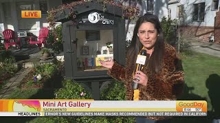 Mini Art Gallery