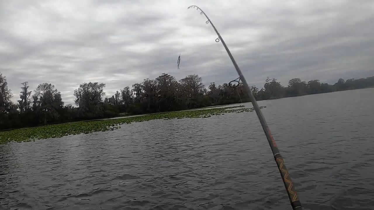 Fishing: the best kind of therapy