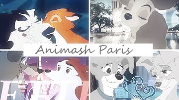 Animash 🖤Paris FULL MEP🖤