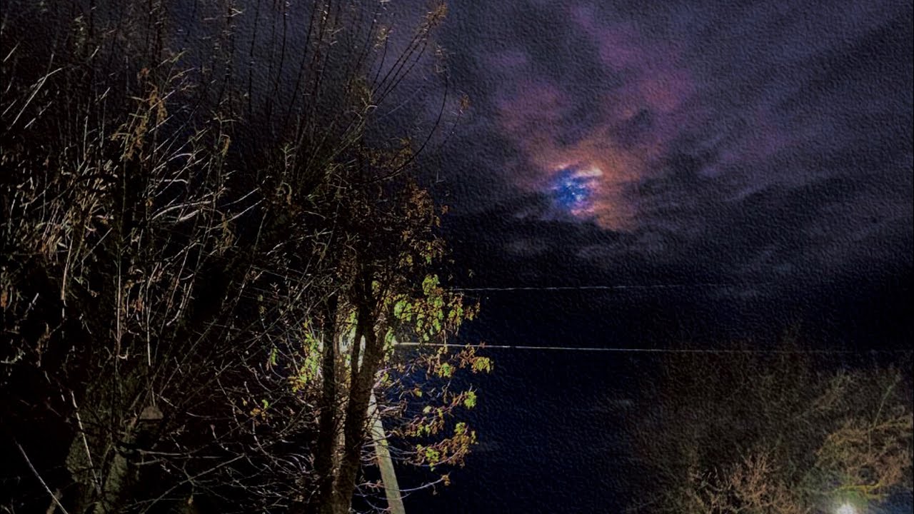 NBOMe - Биомасса