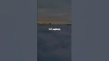 القارئ:محمد صديق المنشاوي |سورة:"القصص الآية "5"